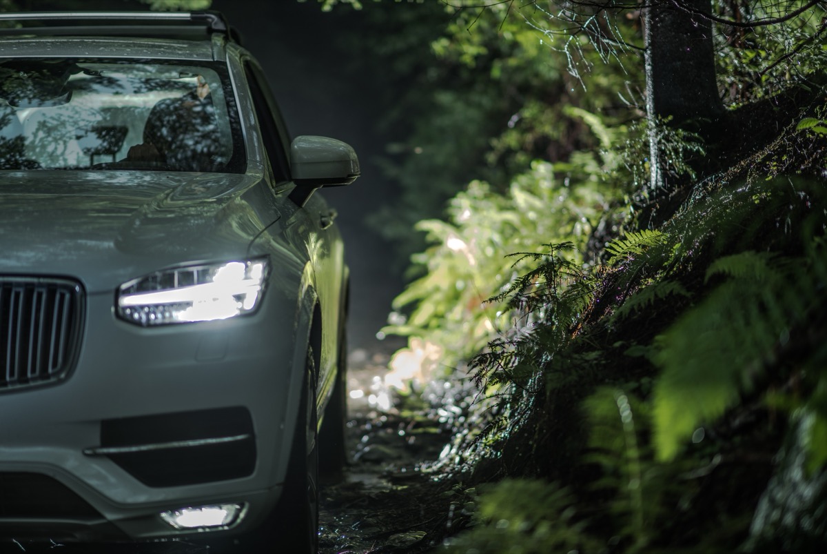 SUV & Wagon cars in NZ